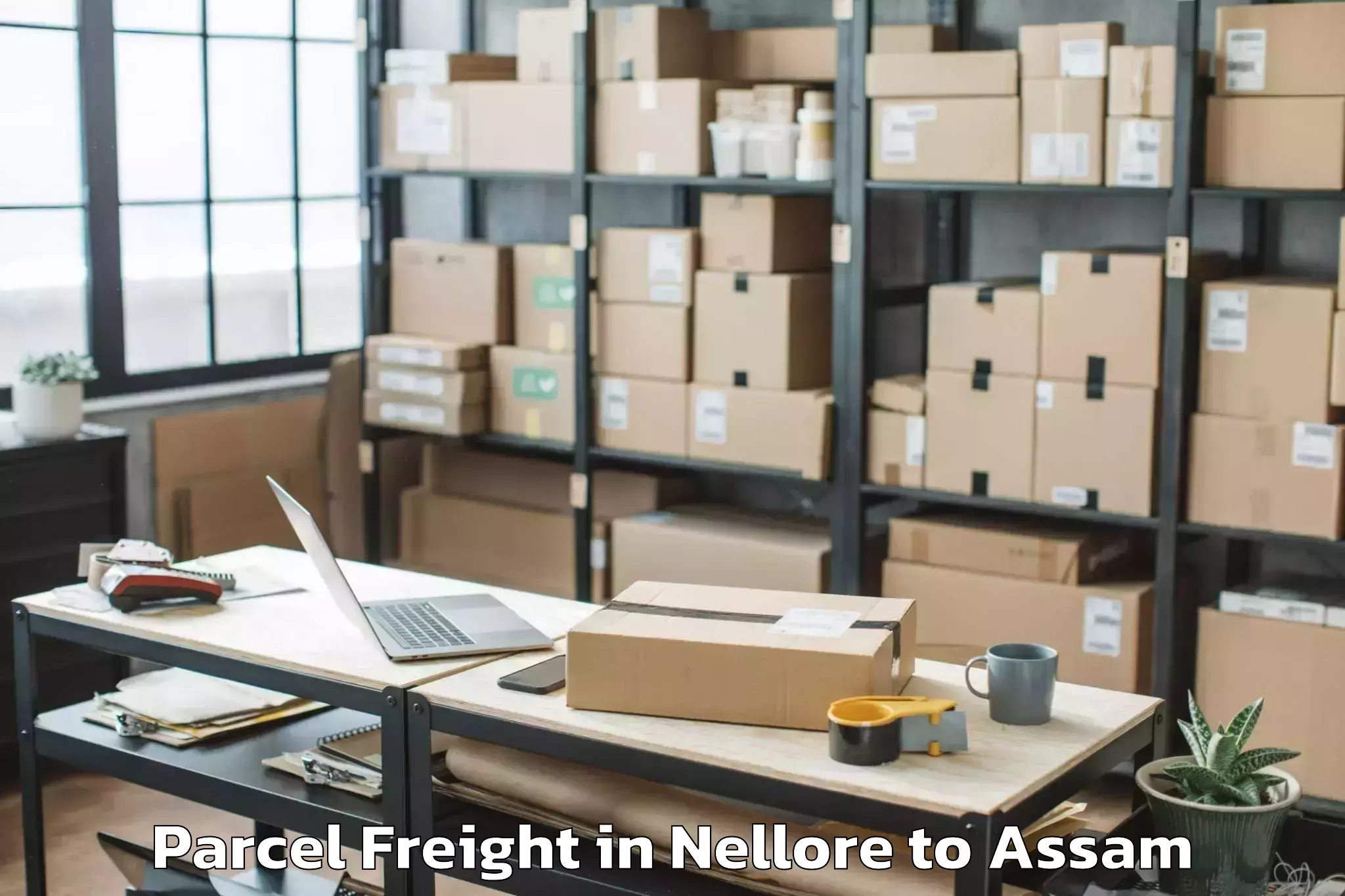 Hassle-Free Nellore to Bodoland University Kokrajhar Parcel Freight